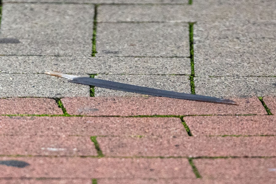 Die Polizei in Wolfenbüttel hat die Machete des Mannes später sichergestellt. (Symbolbild)