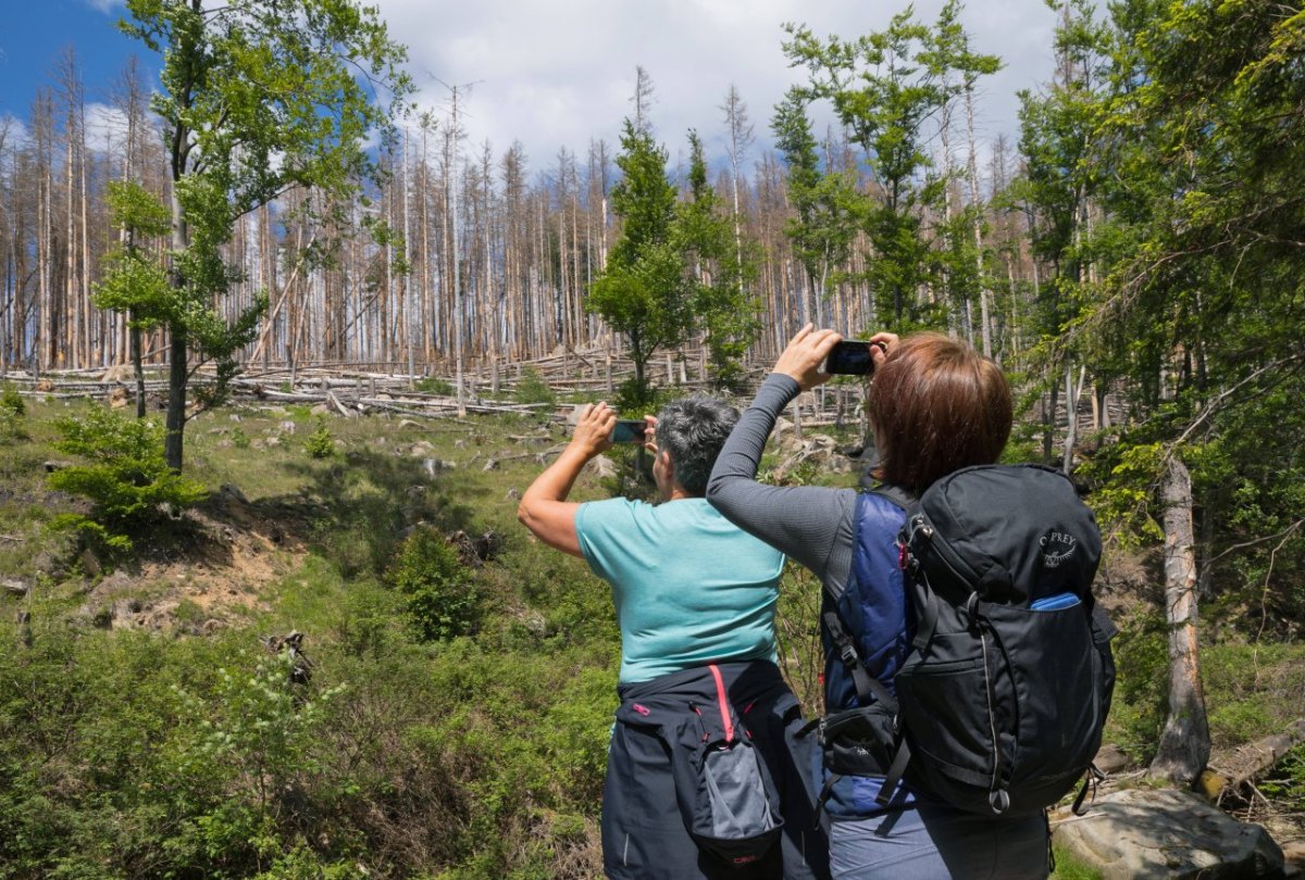 Brocken im Harz.jpg