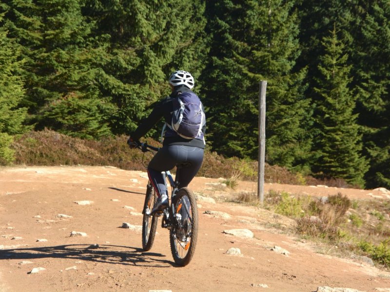 Harz.jpg