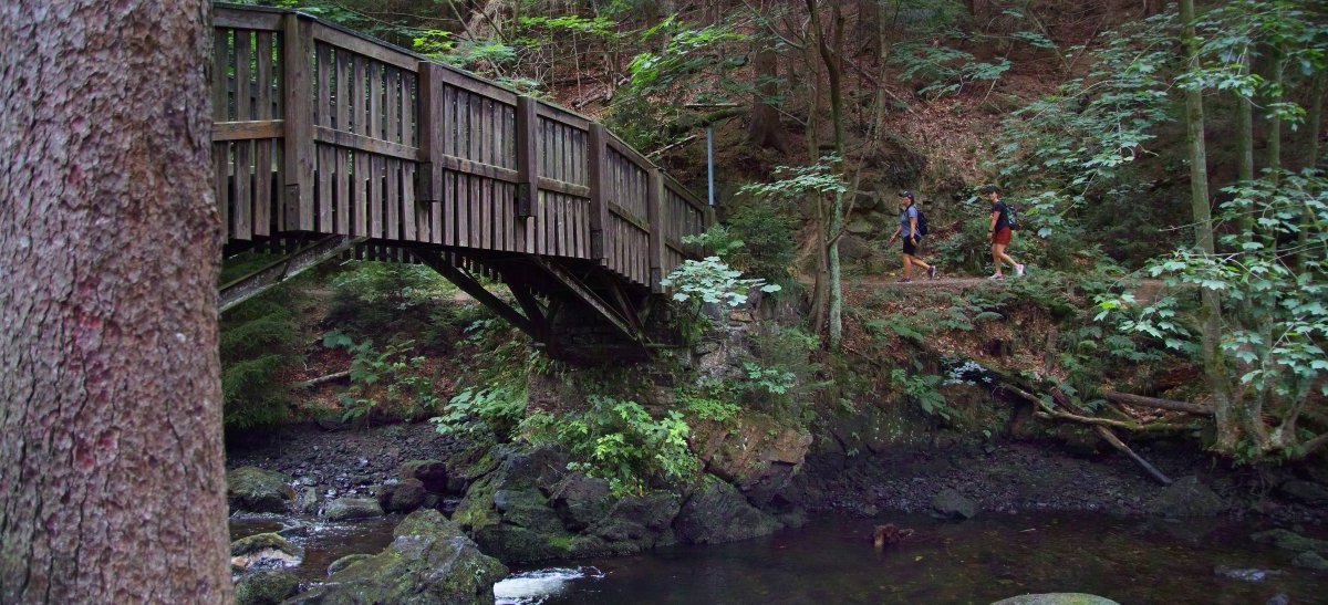 Harz Urlaubscheck