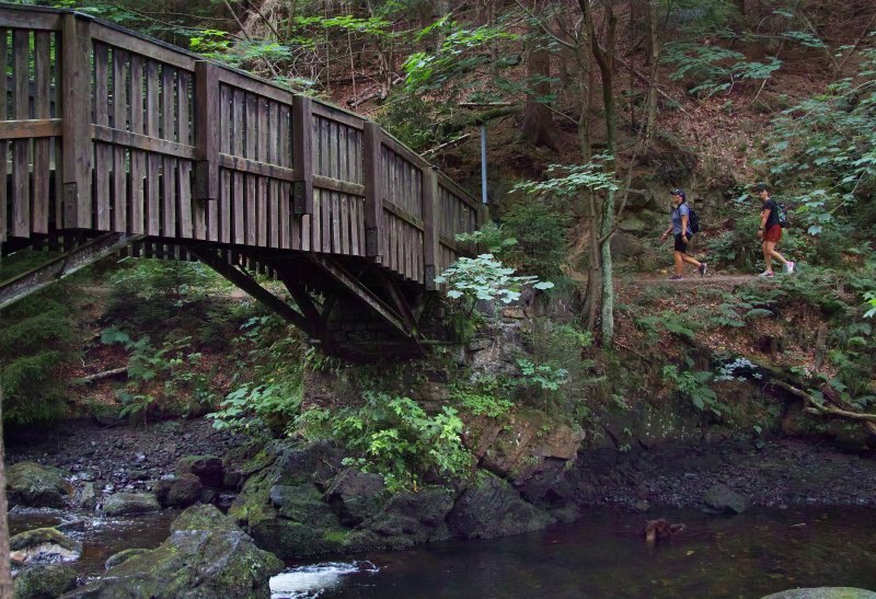 Harz Urlaubscheck