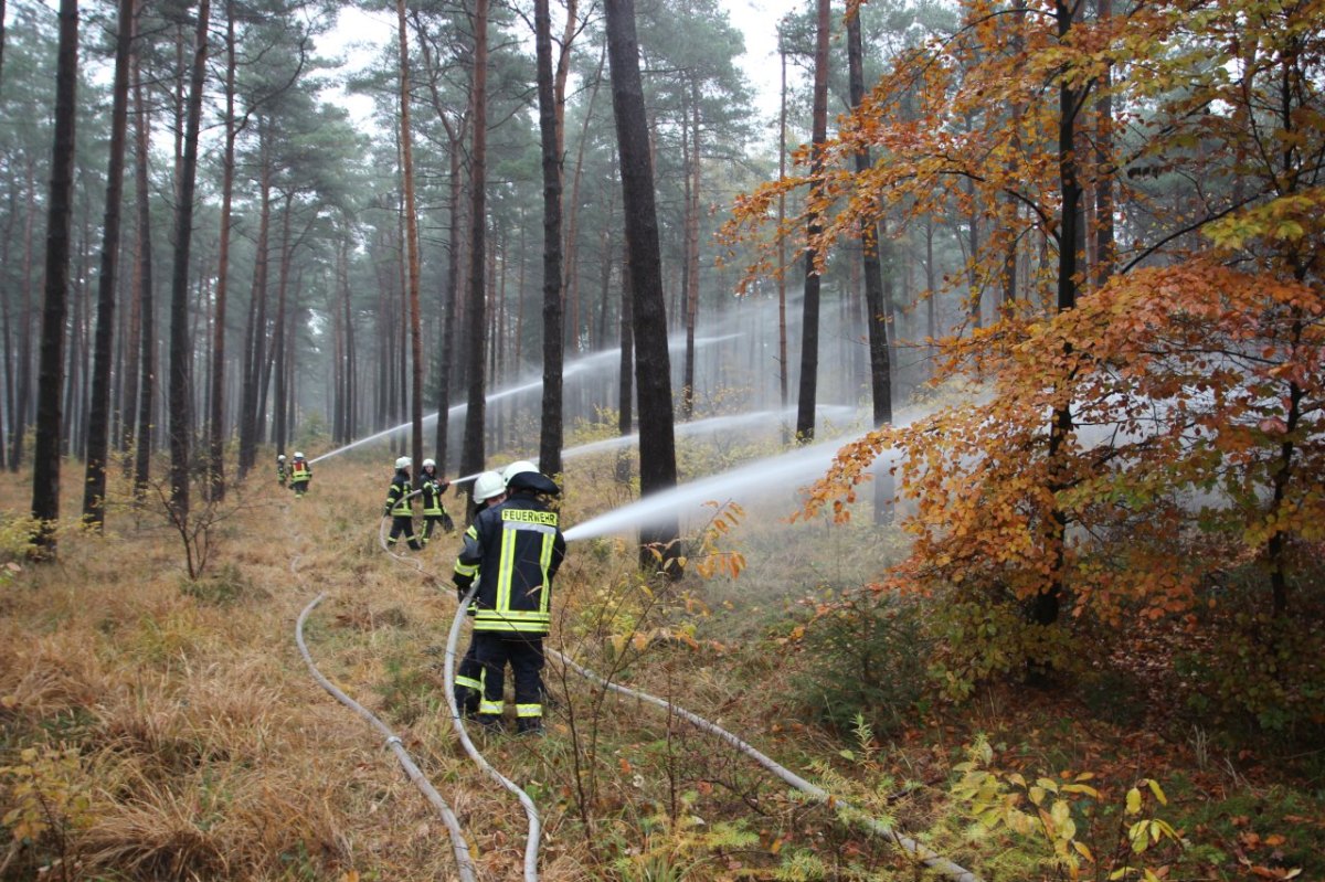 Niedersachsen Waldbrand