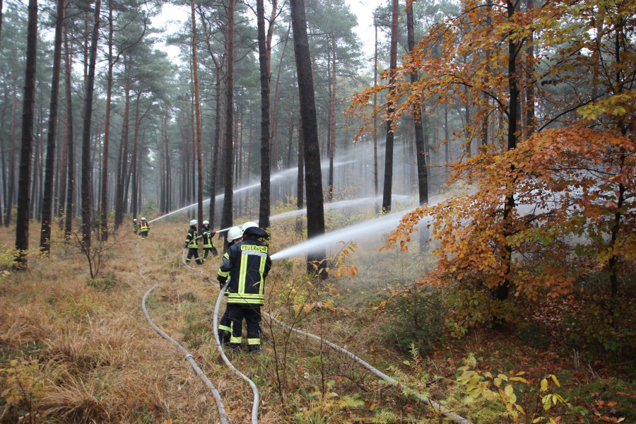 Die Gefahr von Waldbränden wird in Niedersachen immer größer. 