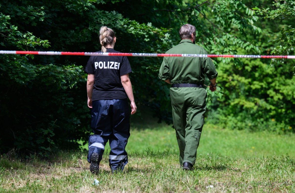 salzgitter mädchen mord fredenberg