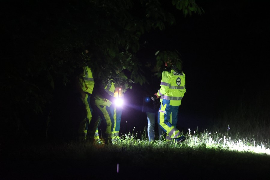 Unter anderem wurden bei der Suche nach dem vermissten Mädchen aus Salzgitter auch Mantrailer eingesetzt.