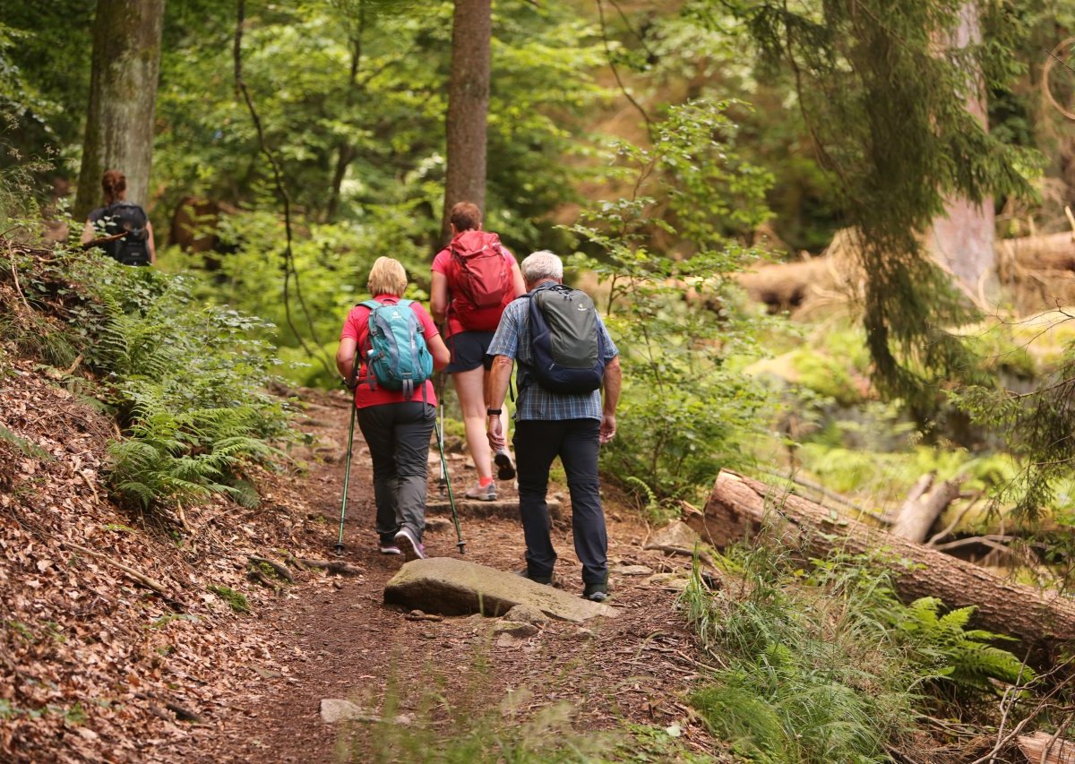 Harz Wanderung