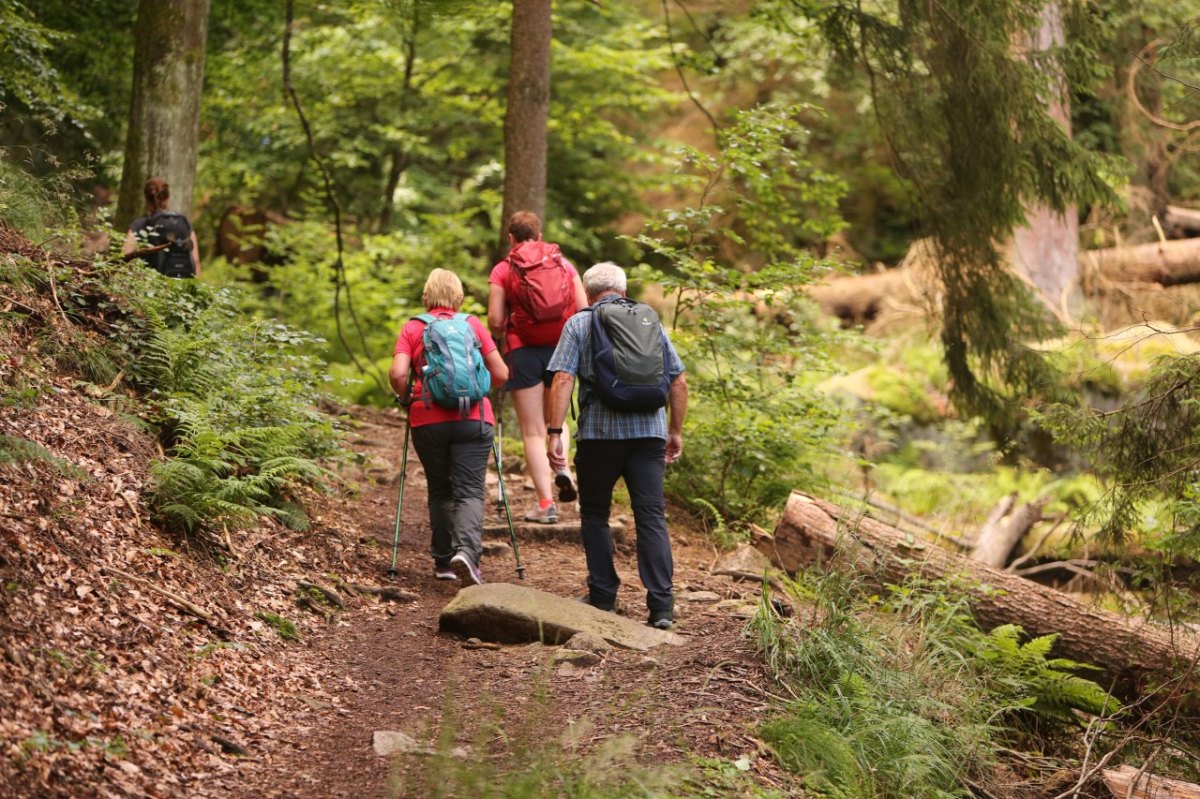 Harz Wanderung