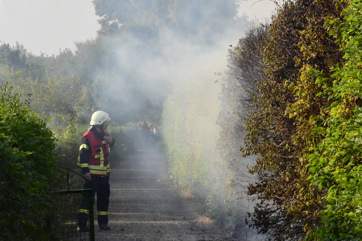 Wolfenbüttel die Hecke brennt