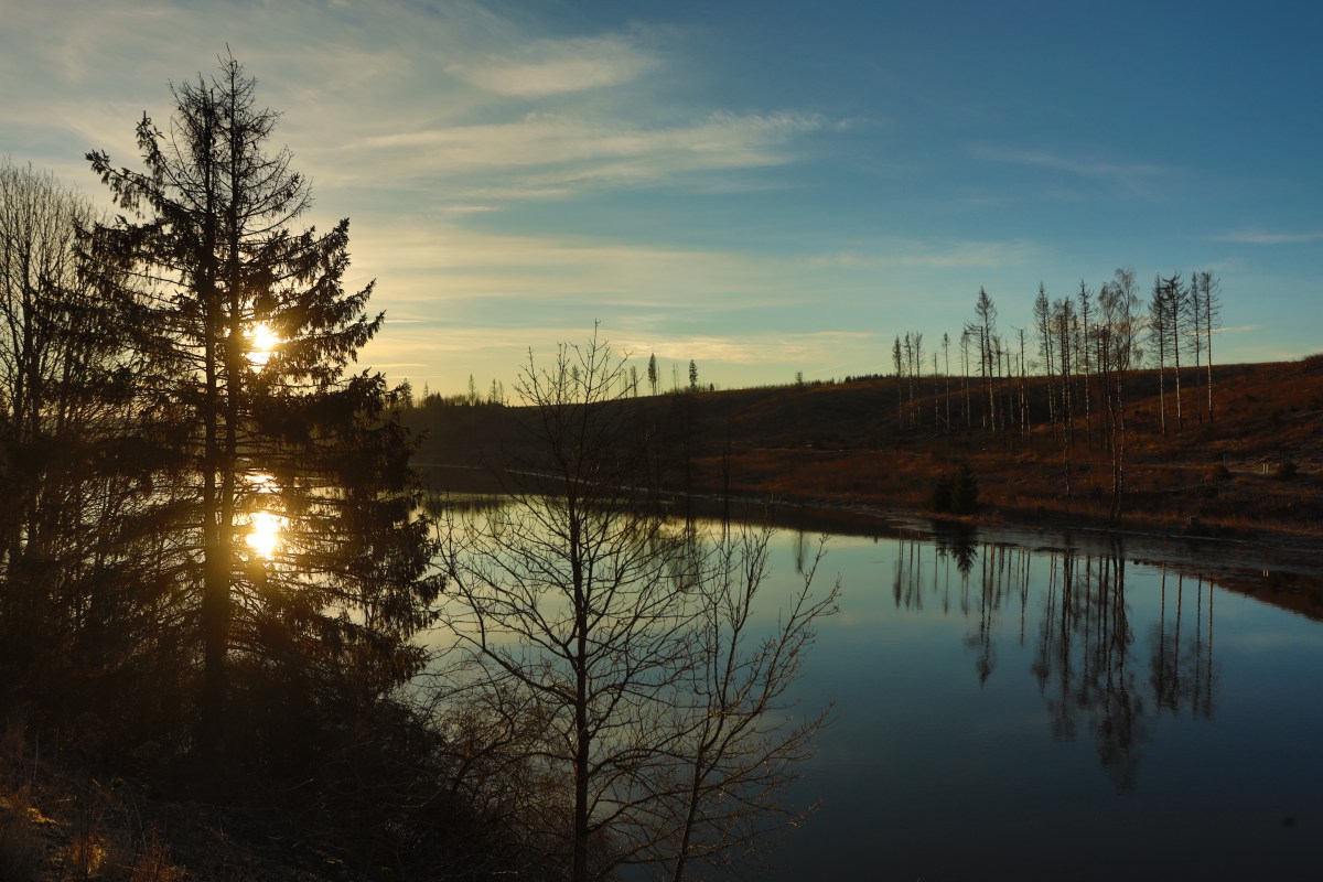 Harz