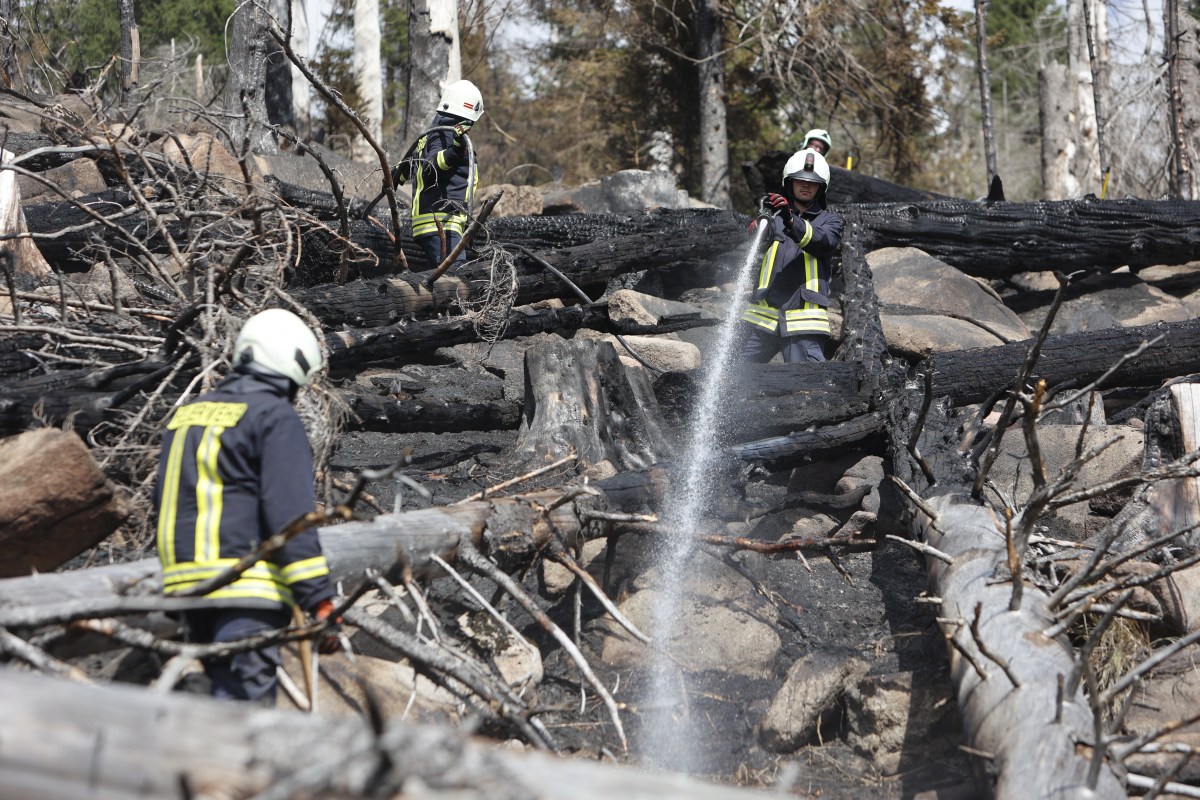 harz brand brocken