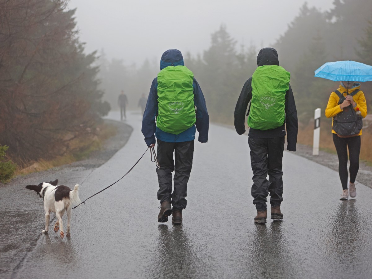 brocken harz