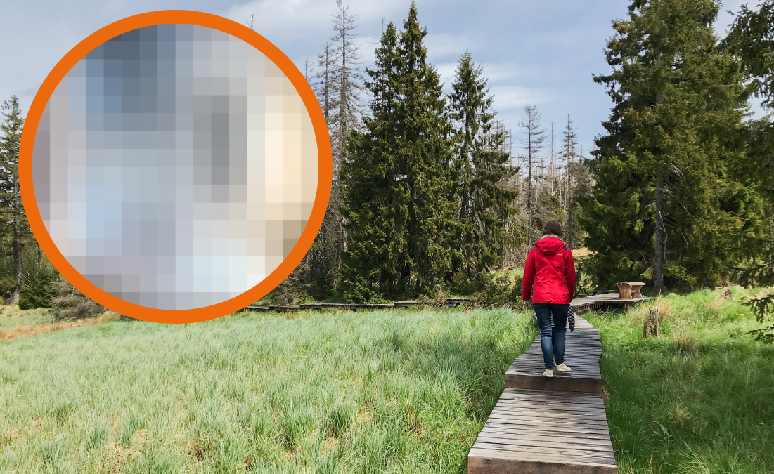 Frau wandert im Harz und ein Pixel-Bild