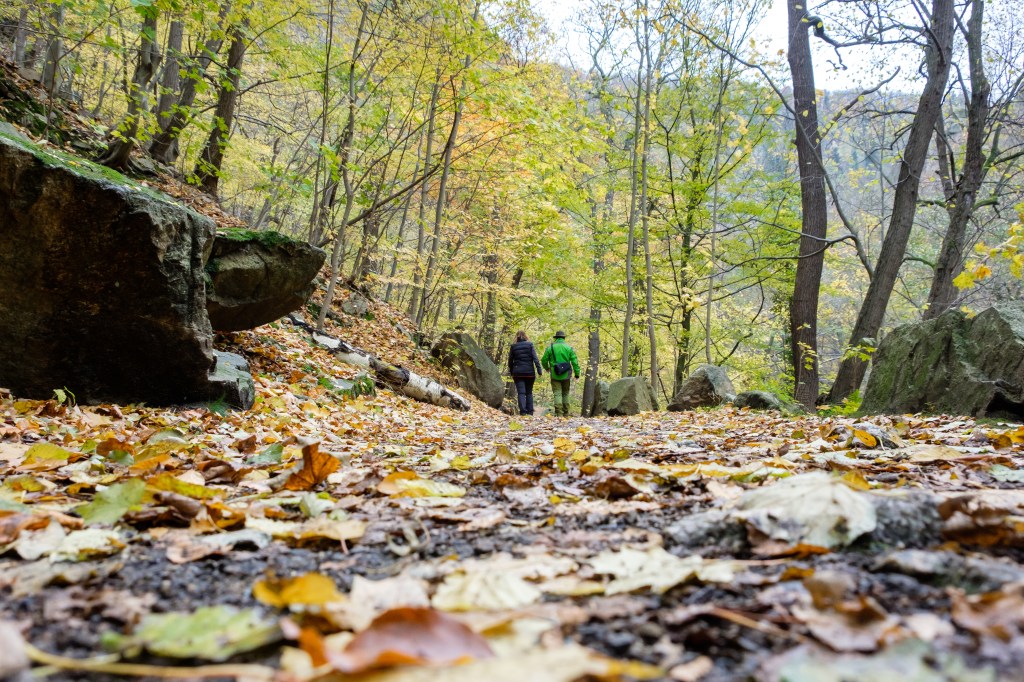 Wanderer auf dem Hexenstieg im Bodetal