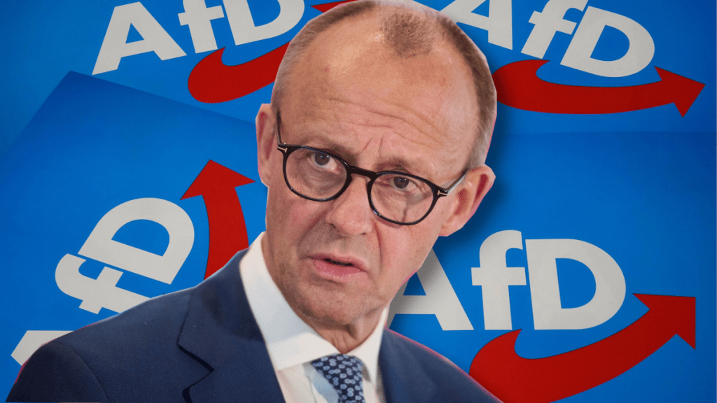 Kurz vor der Niedersachsen-Wahl schoss Friedrich Merz gegen die AfD.