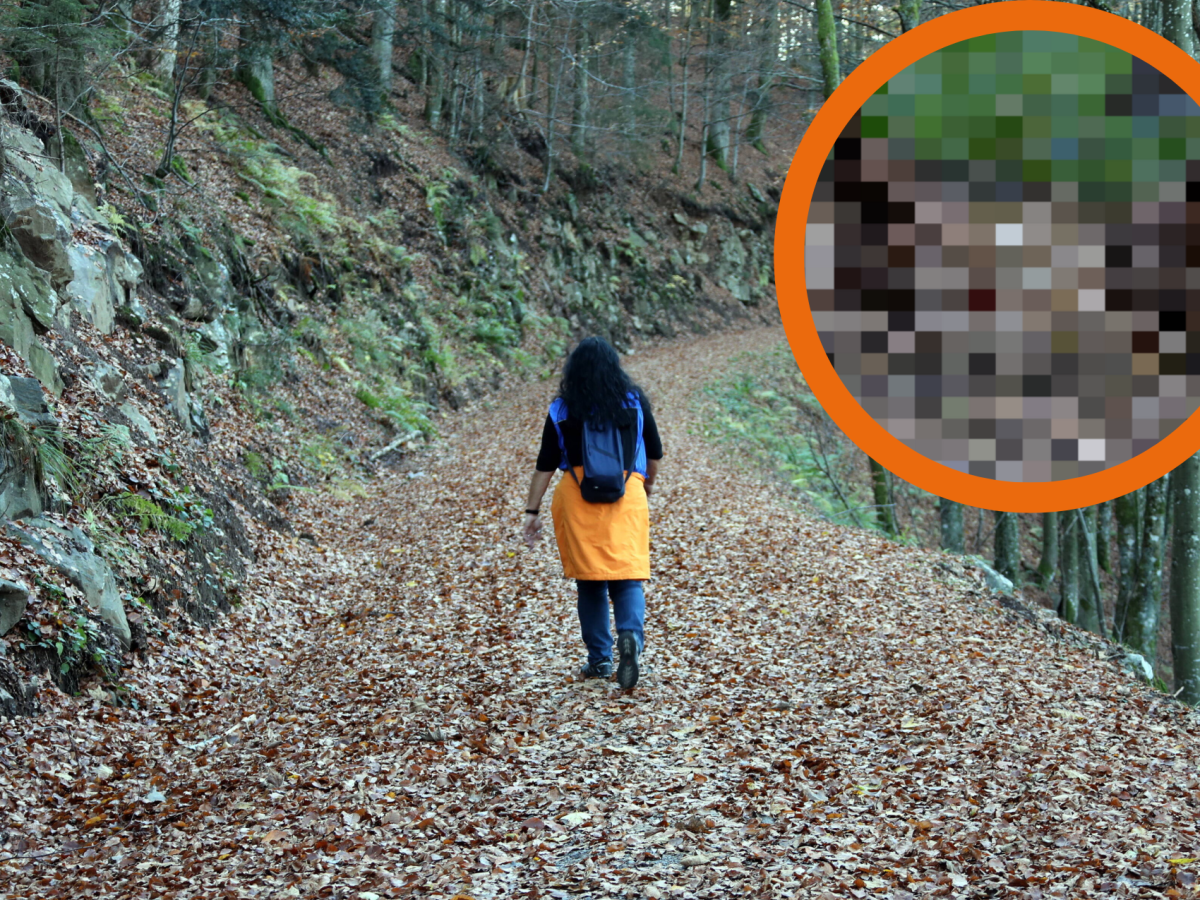 Wolfenbüttel Frau spaziert durch Wald