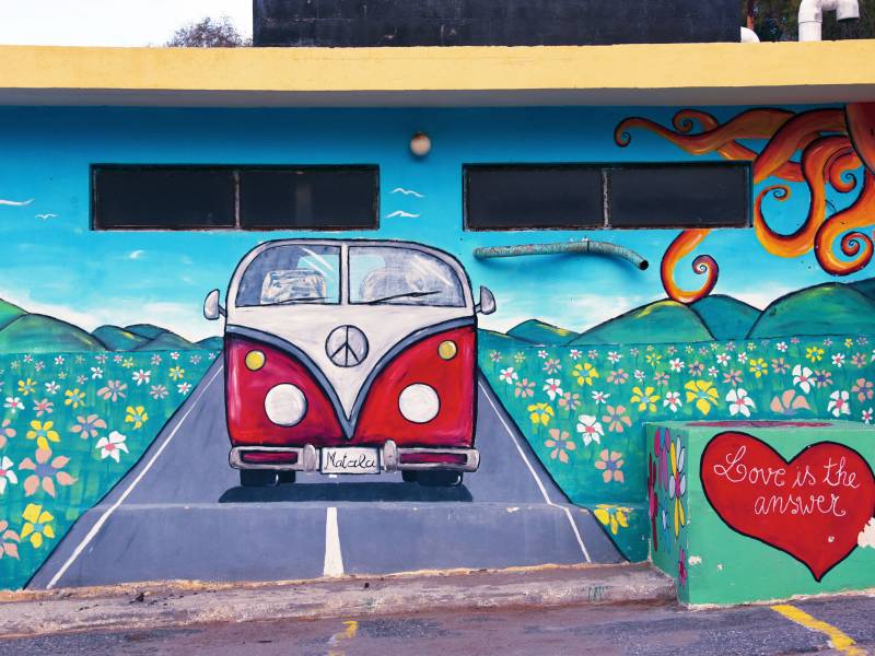 VW Bulli