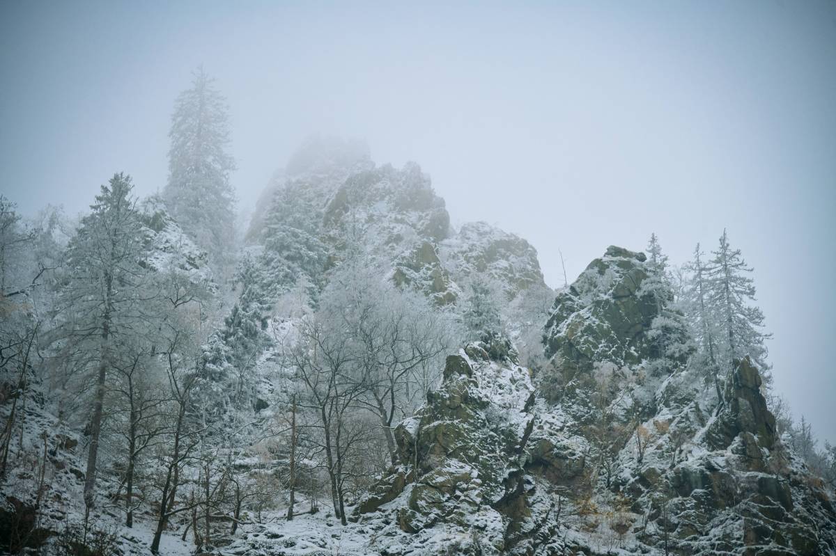 Harz