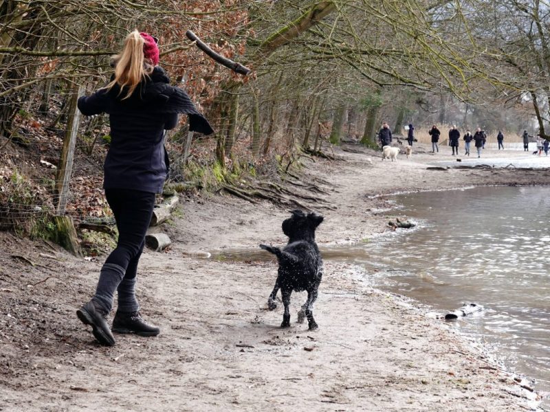 Eine Frau hat eine traurige Entdeckung am Altwarmbüchener See in Hannover gemacht! (Symbolbild)