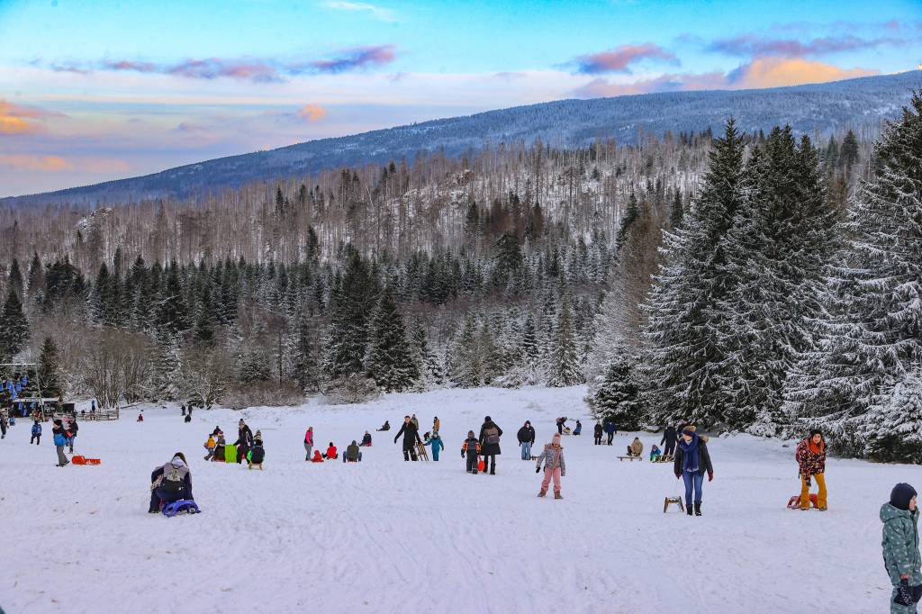 Winter-Wunderland im Harz! 