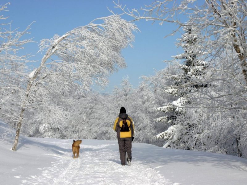 Gibt es noch Hoffnung auf Schnee im Januar in Niedersachsen und im Harz? Wetter-Experte Dominik Jungs Einschätzung ist eindeutig. (Archivbild)