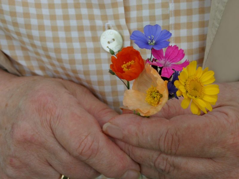 Eine Seniorin wollte einen Blumenstrauß für ihre Schwiegertochter holen – was ihr dann passierte, berührt viele! (Symbolbild)