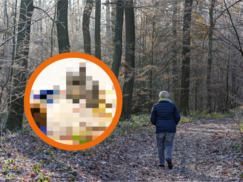 Traurige Entdeckung in einem Wald in Salzgitter! (Symbolbild/Montage)