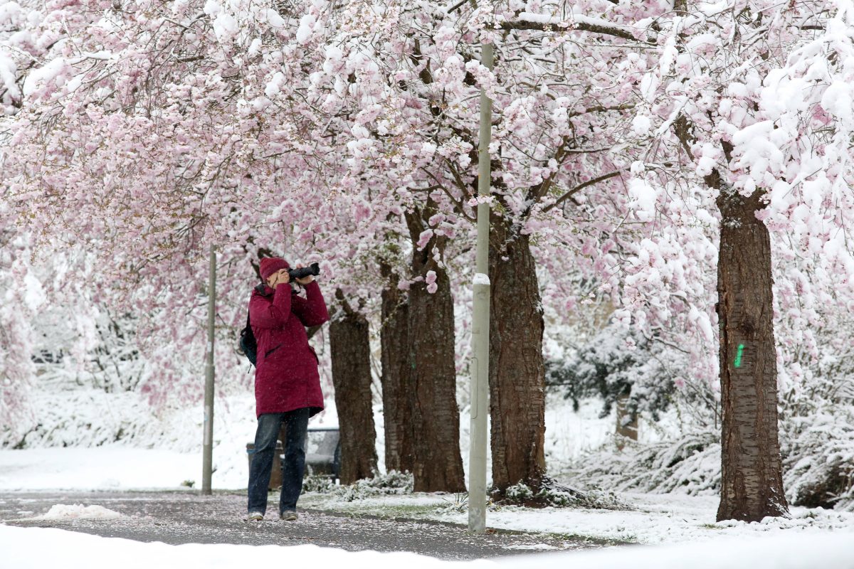 FrÃ¼hling geht anders: Das Wetter in Niedersachsen muckt offenbar noch einmal auf. WomÃ¶glich starten wir absolut winterlich in den neuen Monat...