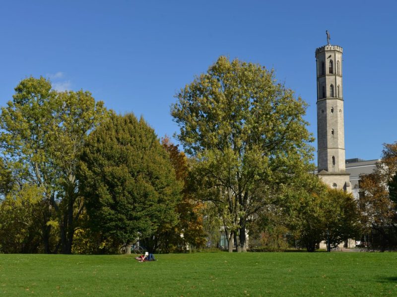 Die Stadt Braunschweig arbeitet an einer neuen Satzung für Park- und Grünanlagen. Eine Sache könnte zukünftig verboten werden. (Archivbild)