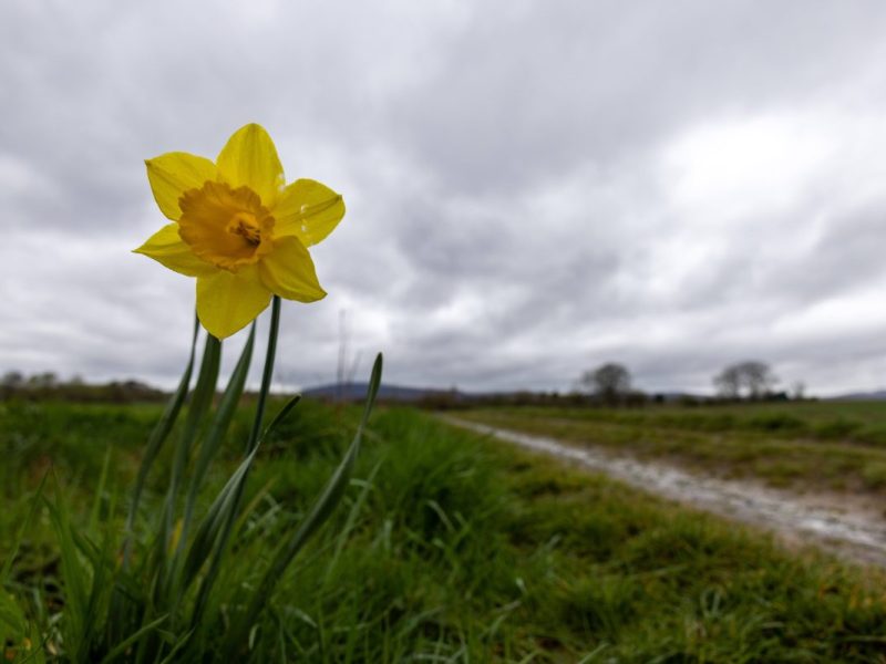 Laut amerikanischem Wettermodell kommen da düstere Zeiten auf Deutschland und Niedersachsen zu in puncto Wetter. (Symbolbild)