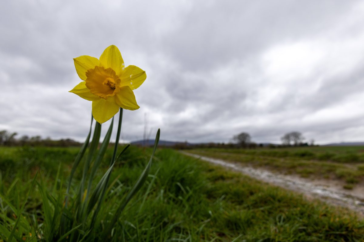 Laut amerikanischem Wettermodell kommen da düstere Zeiten auf Deutschland und Niedersachsen zu in puncto Wetter. (Symbolbild)