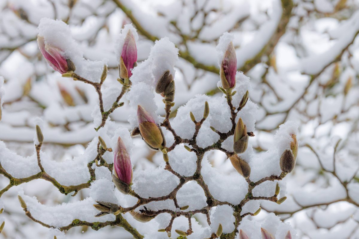 Droht uns der Arctic Outbreak in Niedersachsen? (Symbolbild)