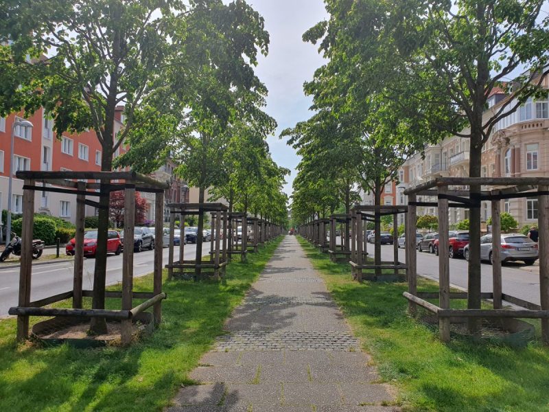 Die Stadt Braunschweig hat einen Plan für den Promenadenweg der Jasperallee.