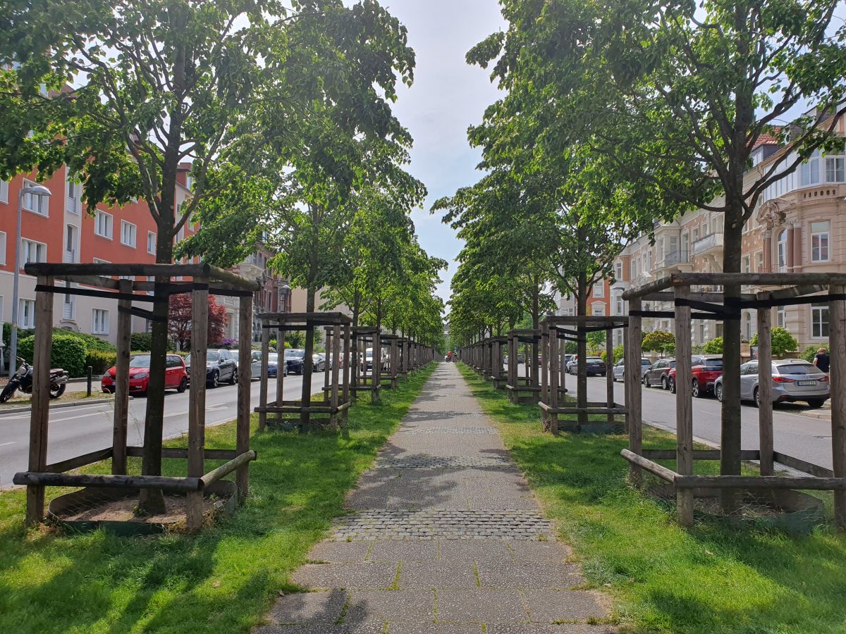 Die Stadt Braunschweig hat einen Plan für den Promenadenweg der Jasperallee.