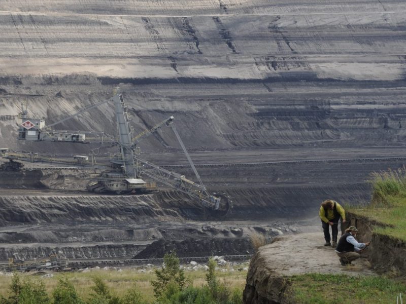 Forscher haben im Tagebau in Schöningen im Kreis Helmstedt eine außergewöhnliche Entdeckung gemacht! (Archivbild)