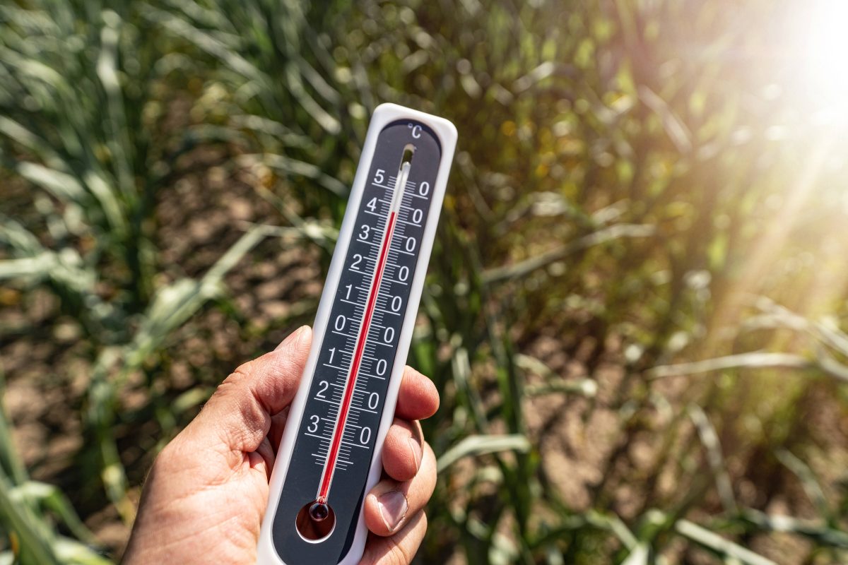 Hiobs-Aussichten für Gärtner und Landwirte in Niedersachsen! (Symbolbild)