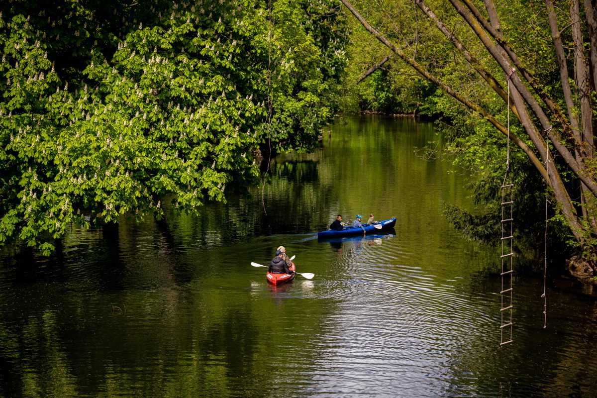 Kanufahrer auf der Braunschweiger Oker