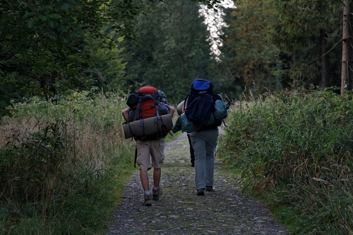 Im Harz gibt es wieder mal ein neues Highlight. Es verspricht nicht nur stramme Waden, sondern auch jede Menge Wissen Ã¼ber Flora und Fauna.