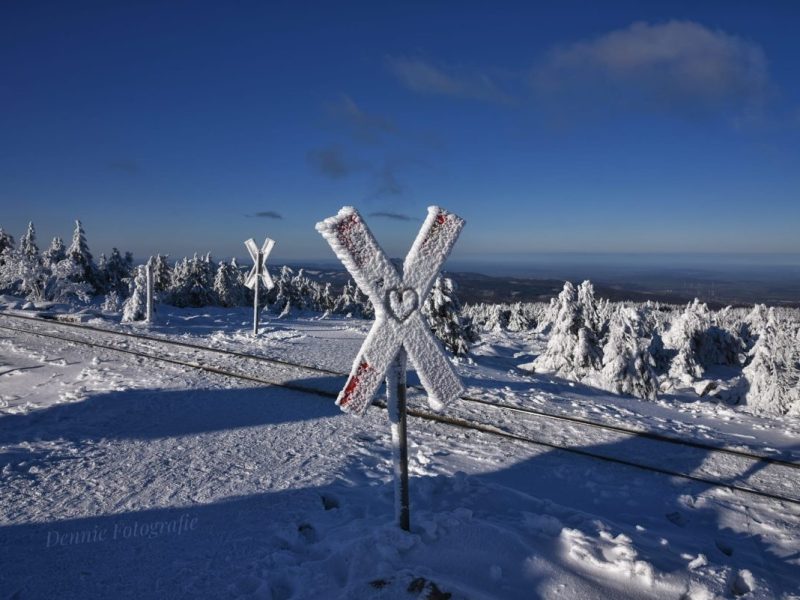 Harz