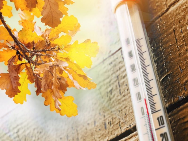 Wetter in Niedersachsen