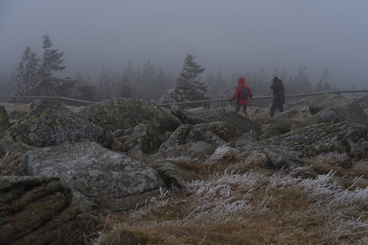 Wetter im Harz