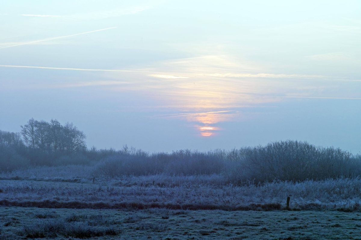 wetter niedersachsen