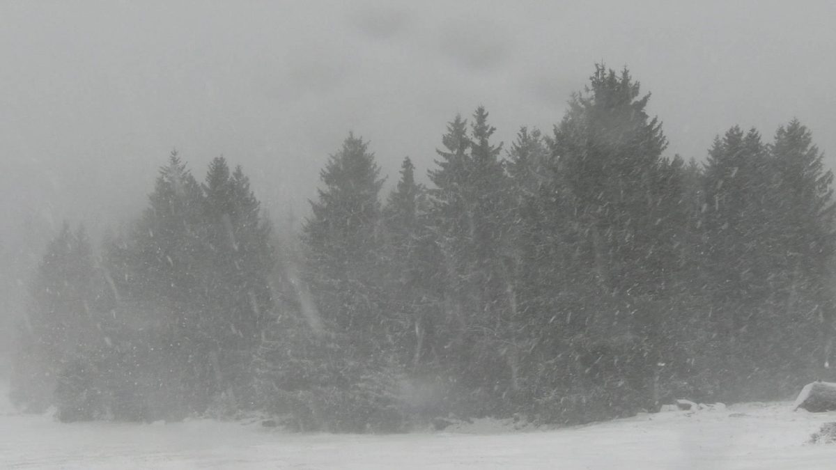 Das Wetter in Niedersachsen ist winterlich und verschneit. Was genau dich erwartet, kannst du hier nachlesen. (Symbolbild)