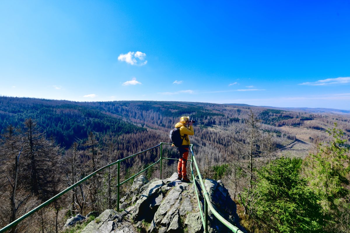 Der Brocken im Harz lockt jedes Jahr viele Wanderfans. Dabei gibt es noch einige weitere versteckte Wanderwege im Harz zu entdecken.