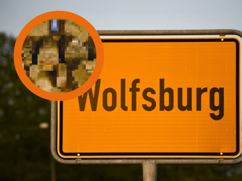 Wolfsburg: Was HIER in den Tiefen schlummert, überrascht viele – „Wusste ich gar nicht“