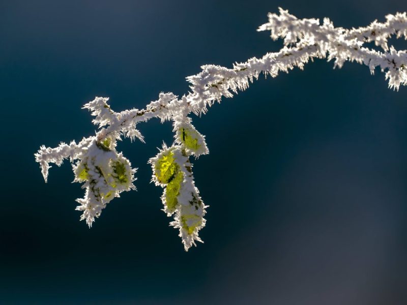 wetter niedersachsen