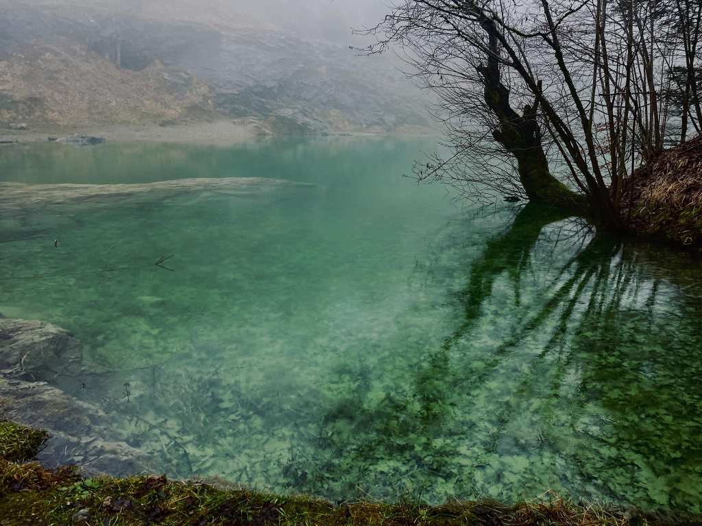 Harz