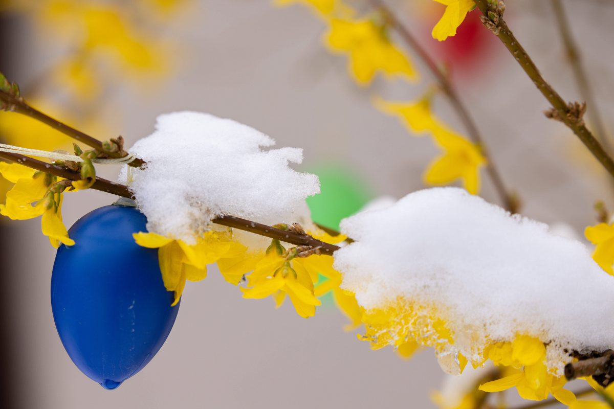 Wetter in Niedersachsen