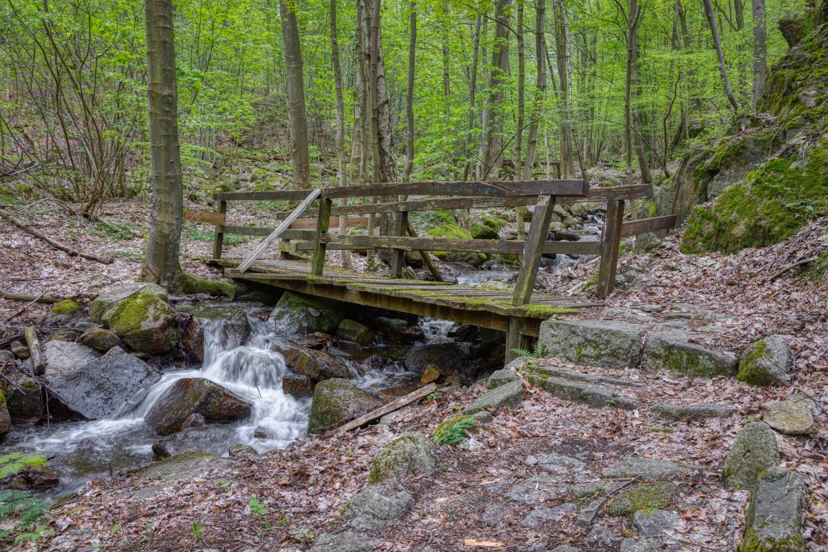 harz wandern