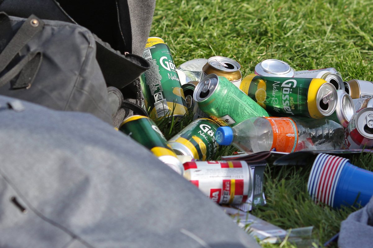 Die Stadt Braunschweig ist sauer, weil die Parks nach Himmelfahrt in einem schlimmen Zustand waren. (Symbolbild)