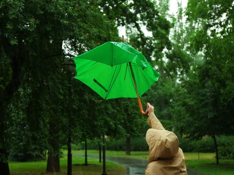 Wetter Niedersachsen